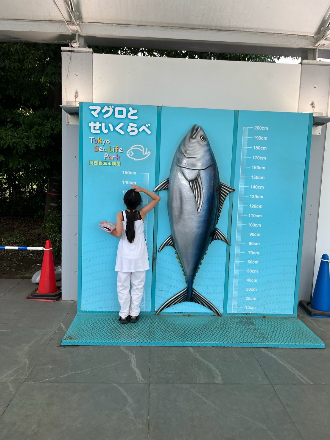 マグロの模型と背比べをしている後ろ姿